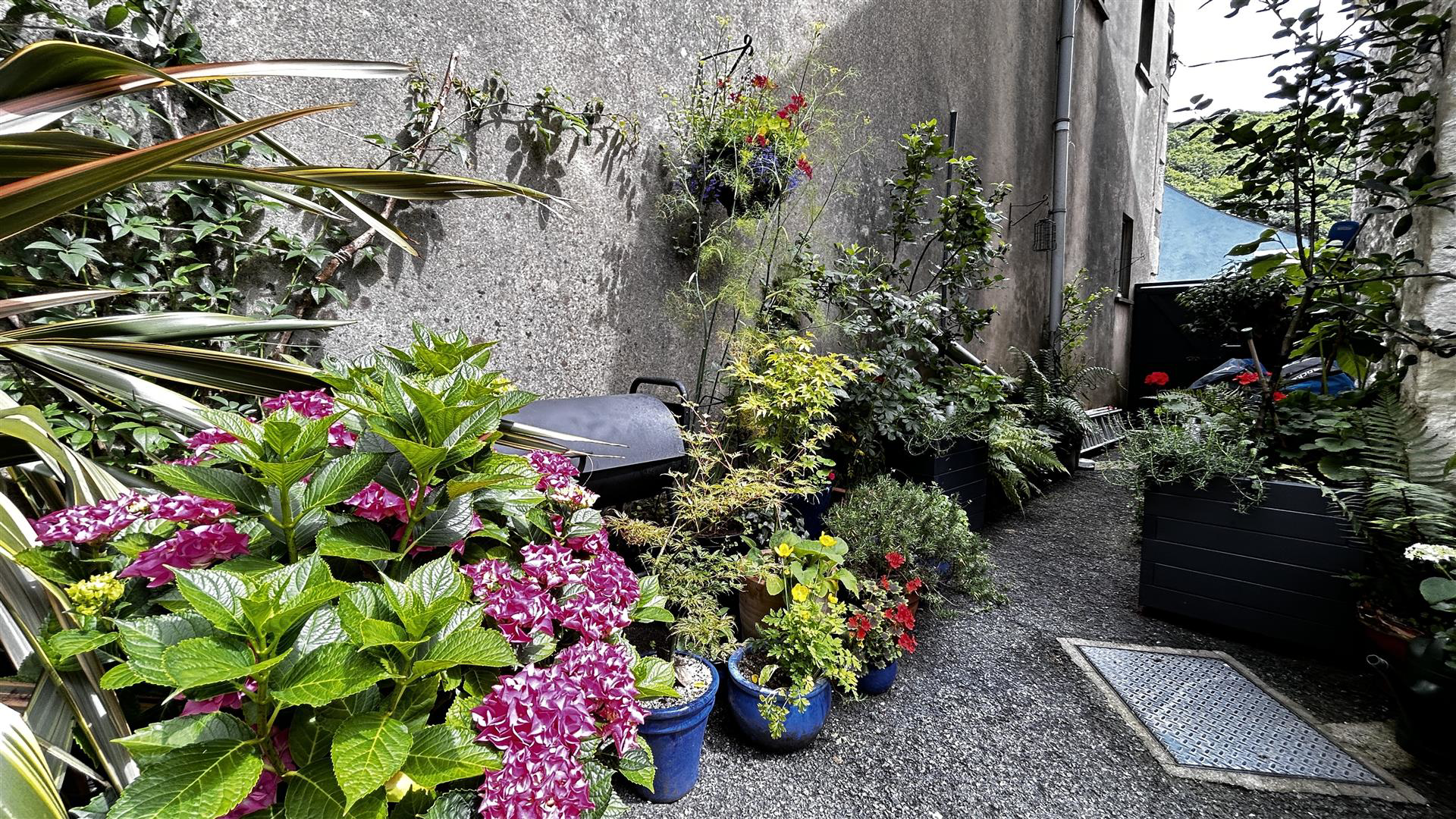 Main Street, Solva, photo 27