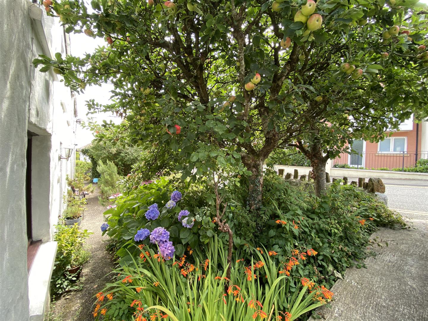 Photo 16