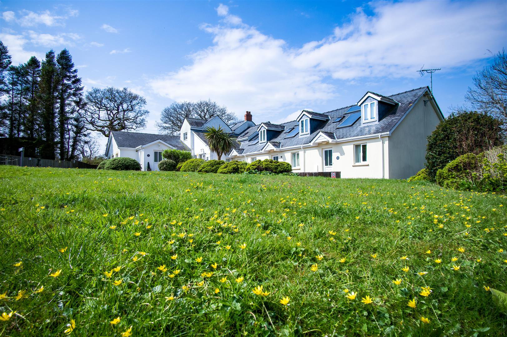 Redberth Gardens, Redberth, Tenby