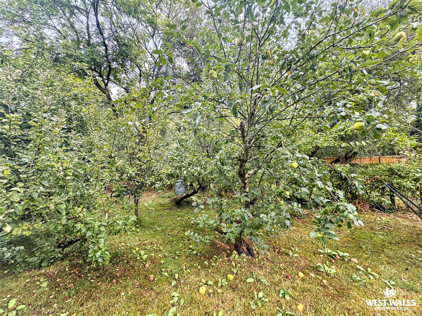 Holyland Road, Pembroke, photo 16