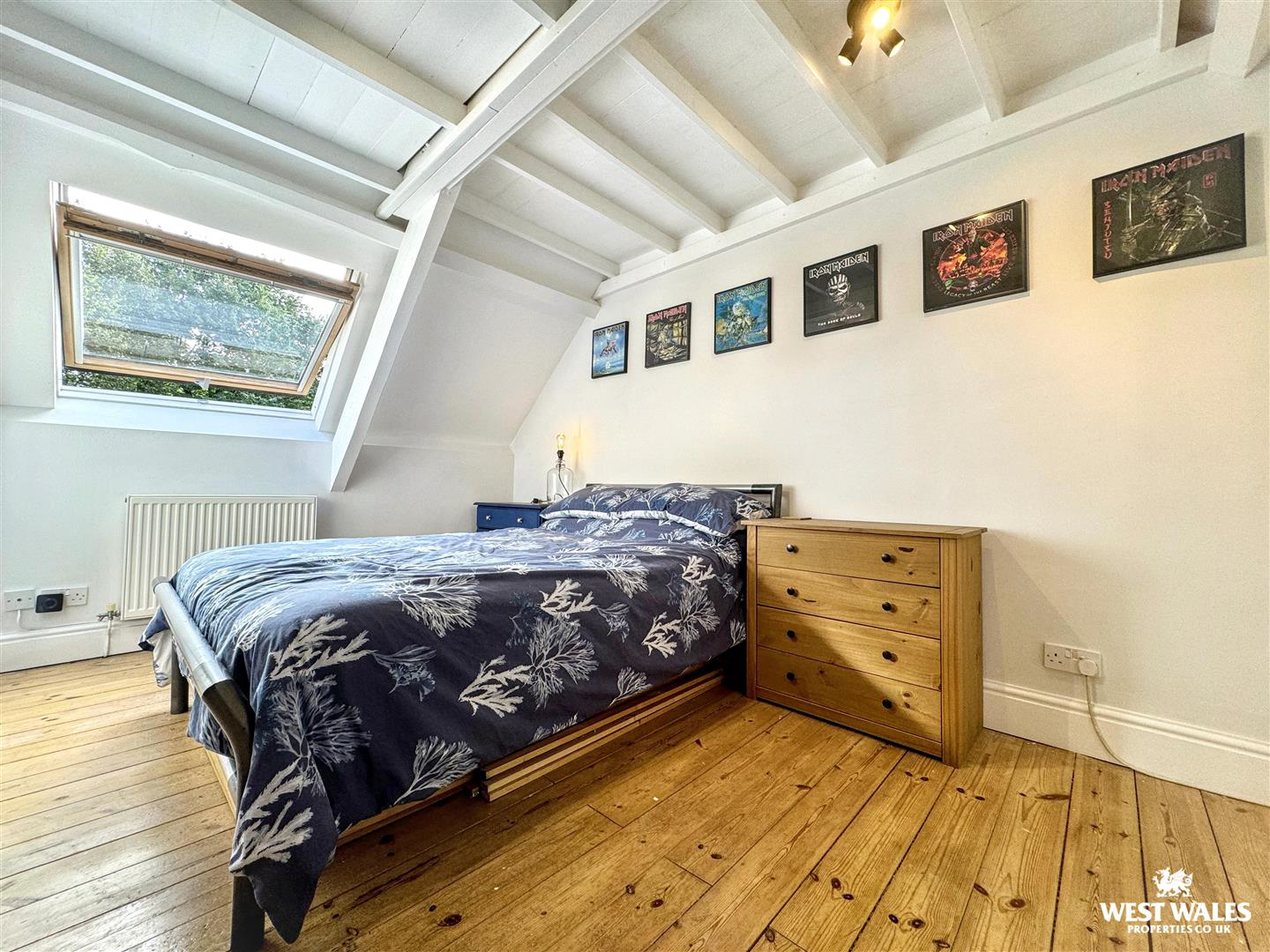 Golden Lane, Pembroke, photo 14