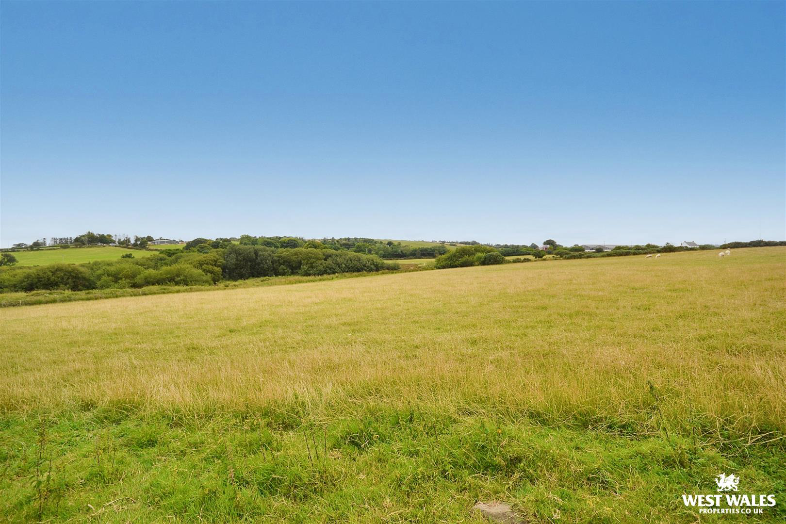NEIGHBOURING FIELDS