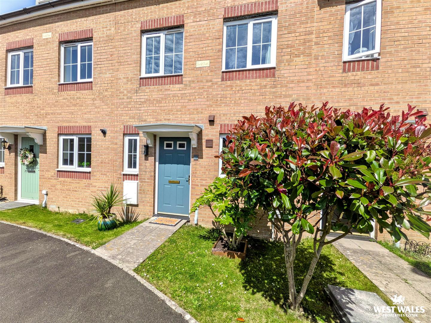Parc Y Garreg, Kidwelly, photo 24