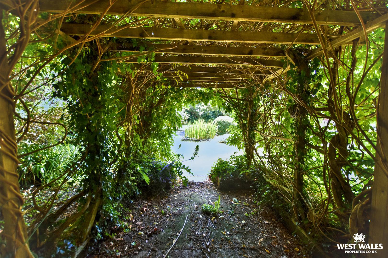 The Gail, Llangwm, Haverfordwest, photo 39