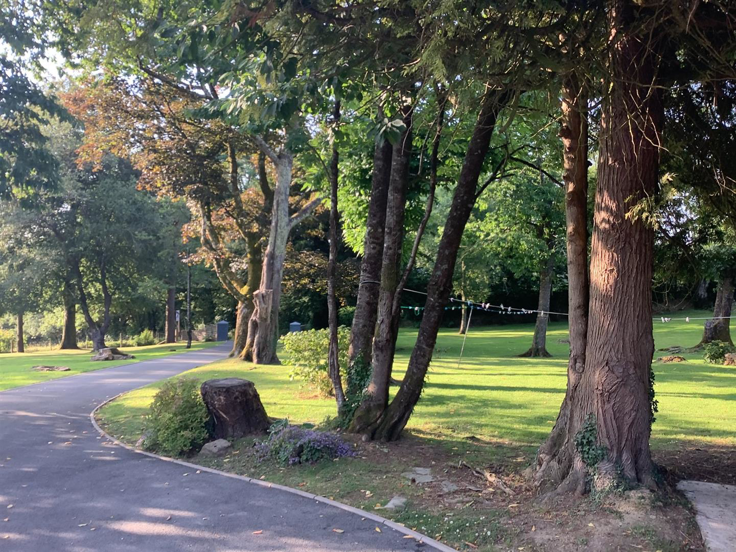 Dol Llan Road, Llandysul, photo 7