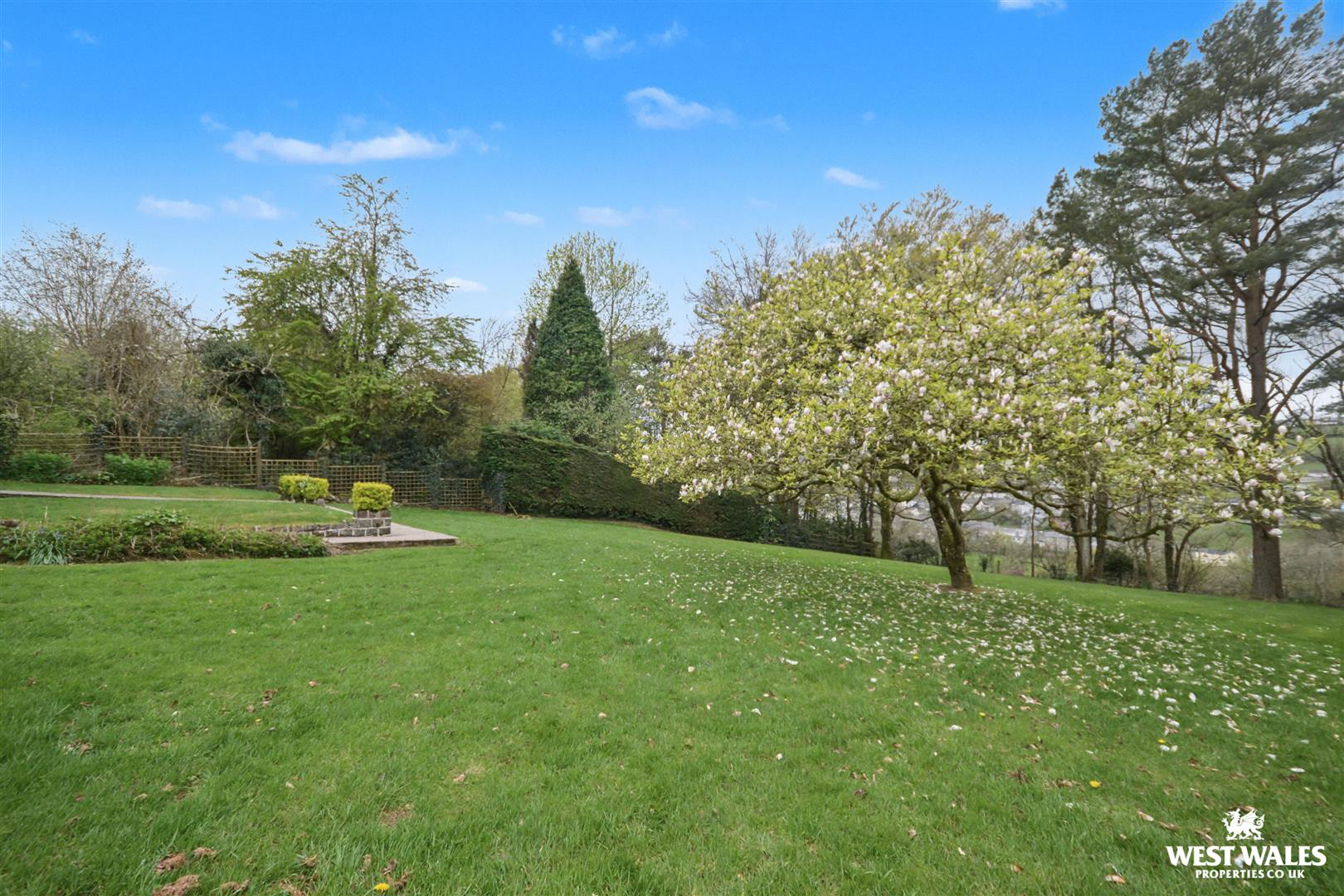 Dol Llan Road, Llandysul, photo 24