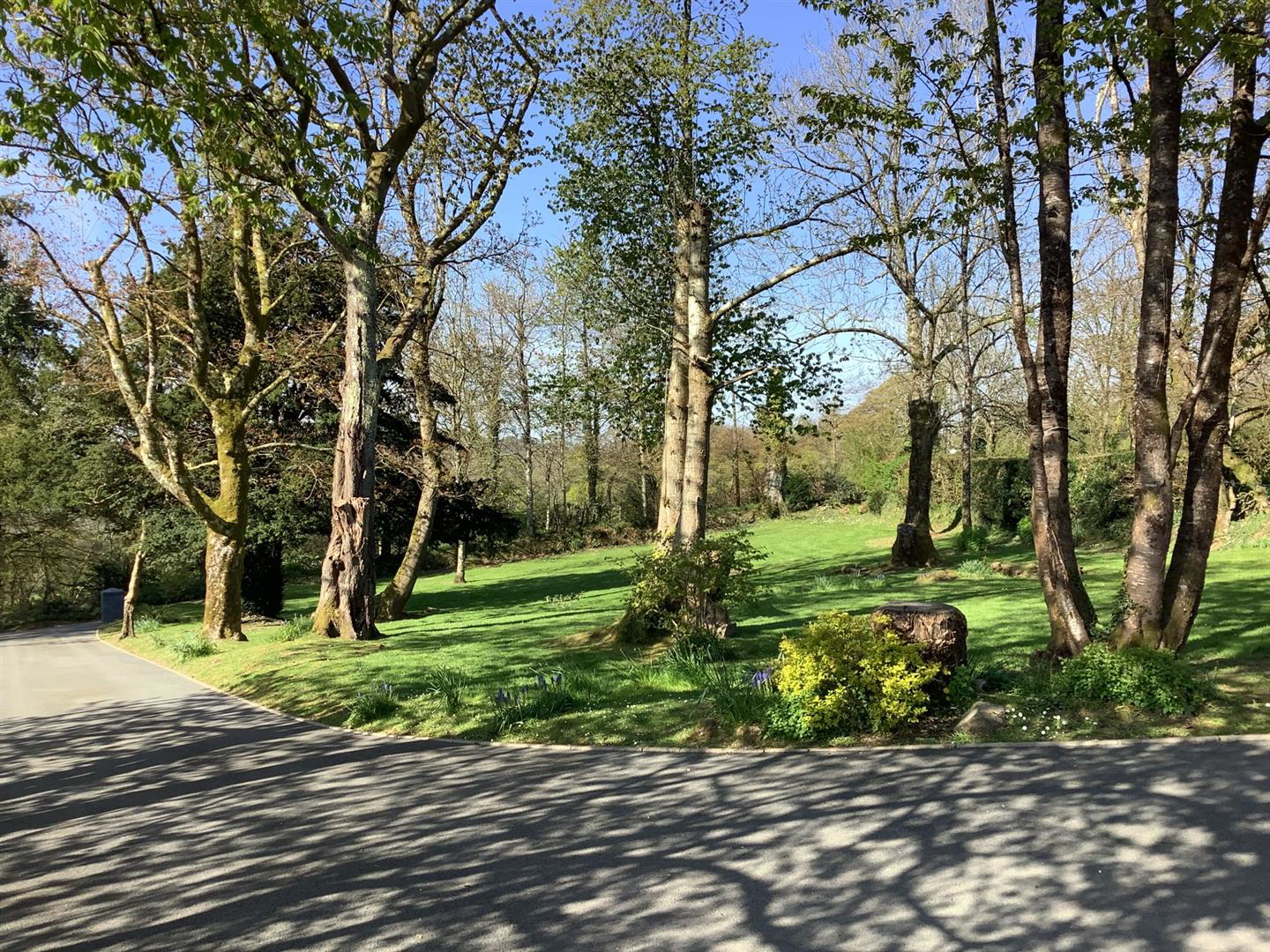 Dol Llan Road, Llandysul, photo 20