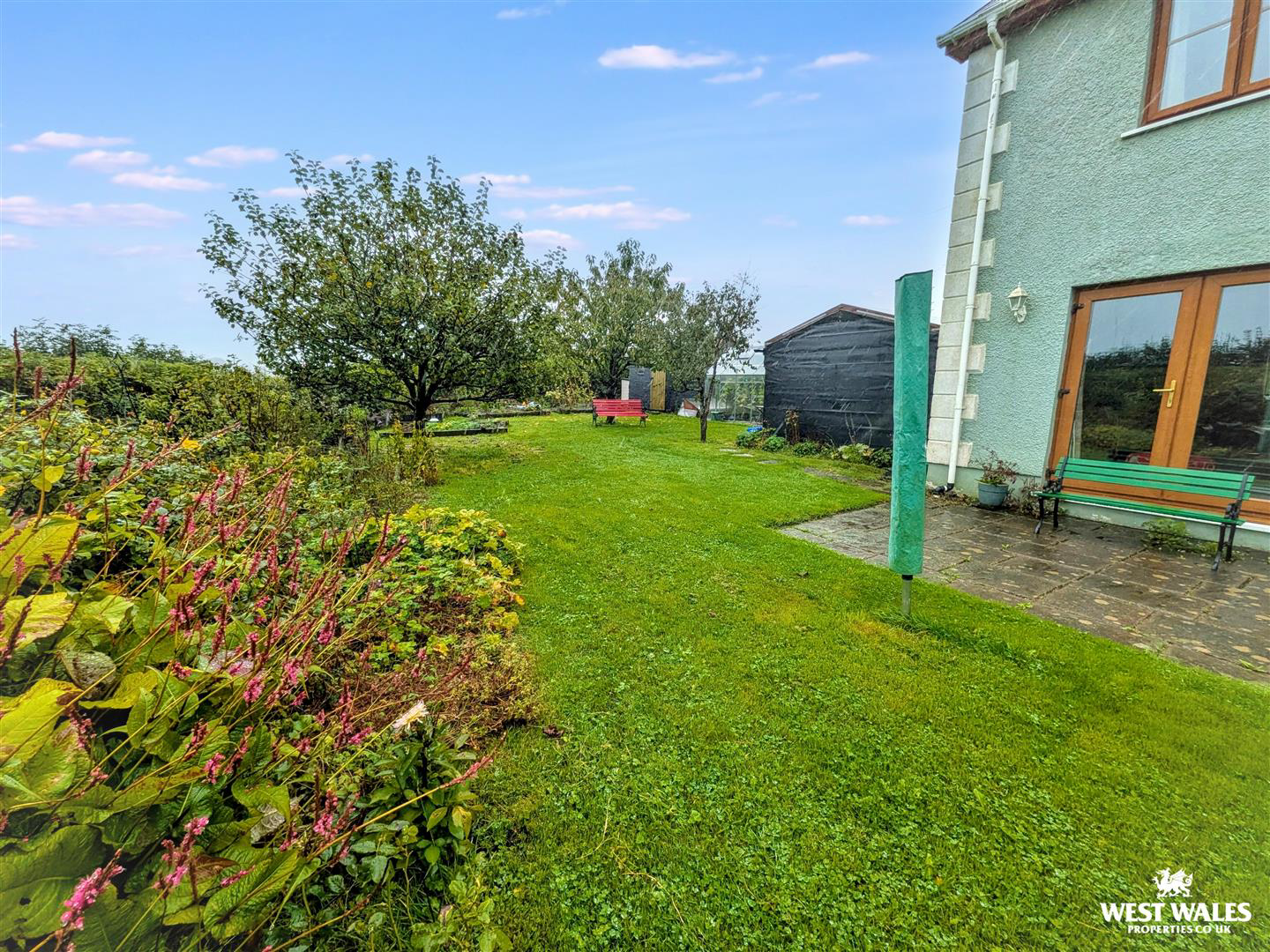 Photo 20