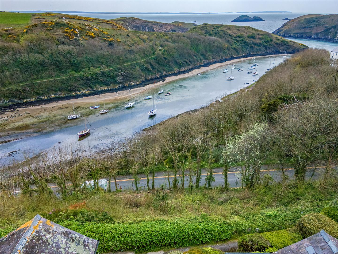 The Quick, Solva, Haverfordwest, photo 35