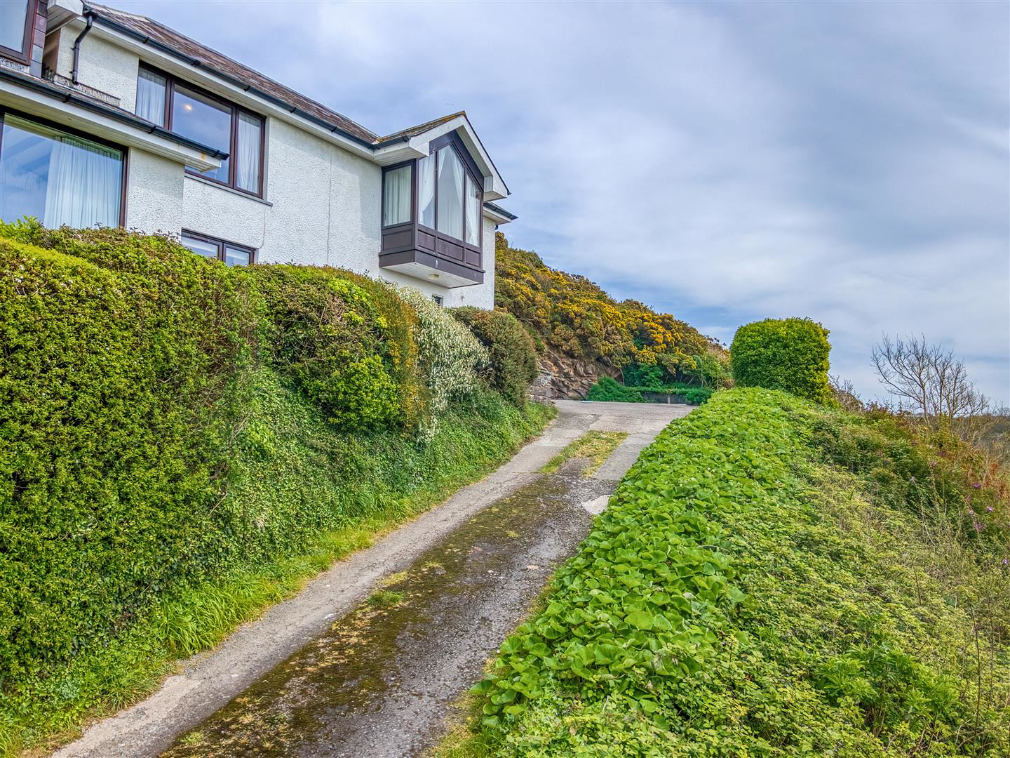 The Quick, Solva, Haverfordwest, photo 51