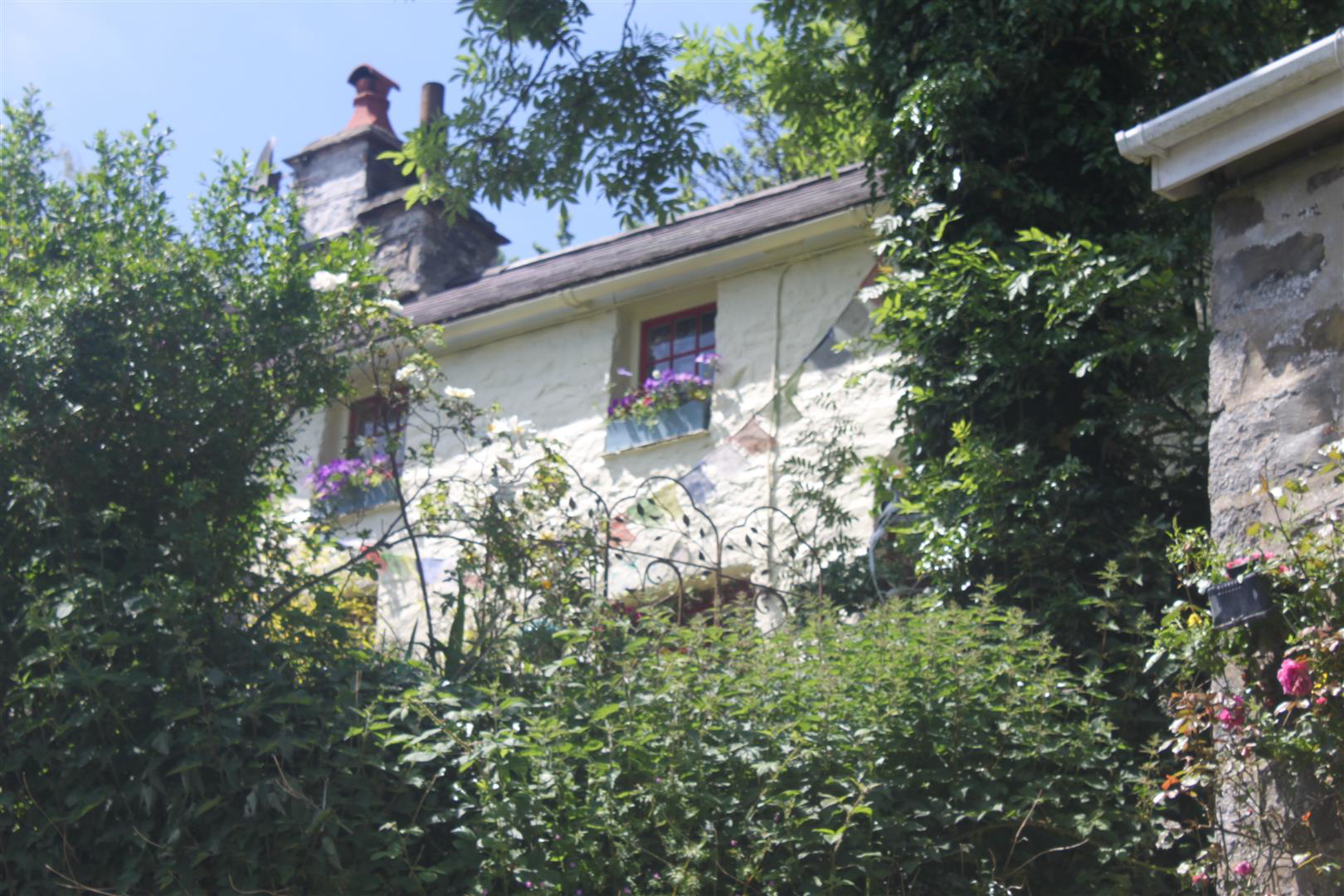 Nanternis, New Quay, photo 20