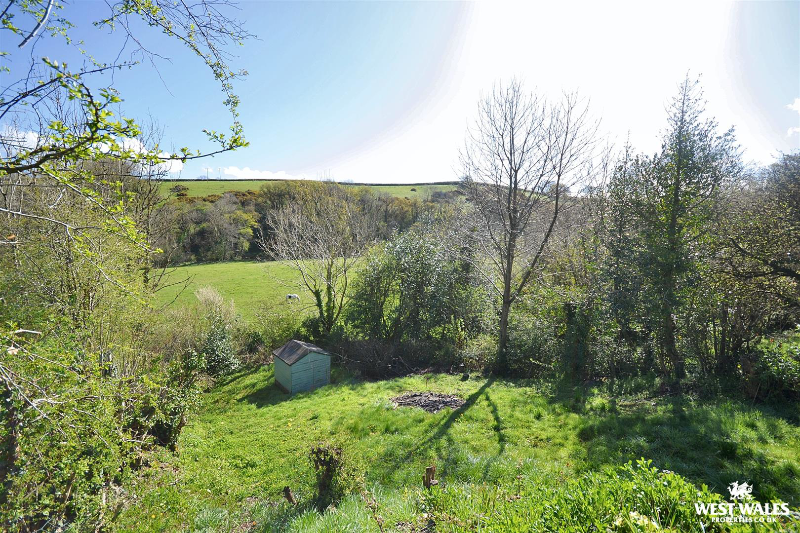 Abercych, photo 26