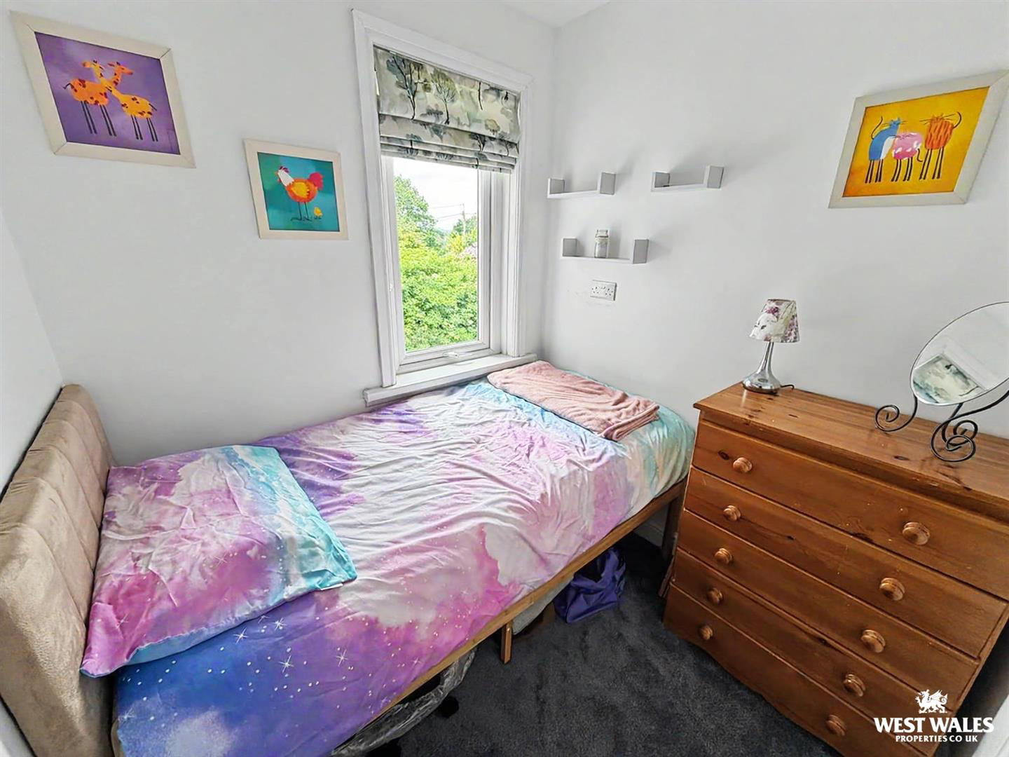 Carmarthen Road, Newcastle Emlyn, photo 17