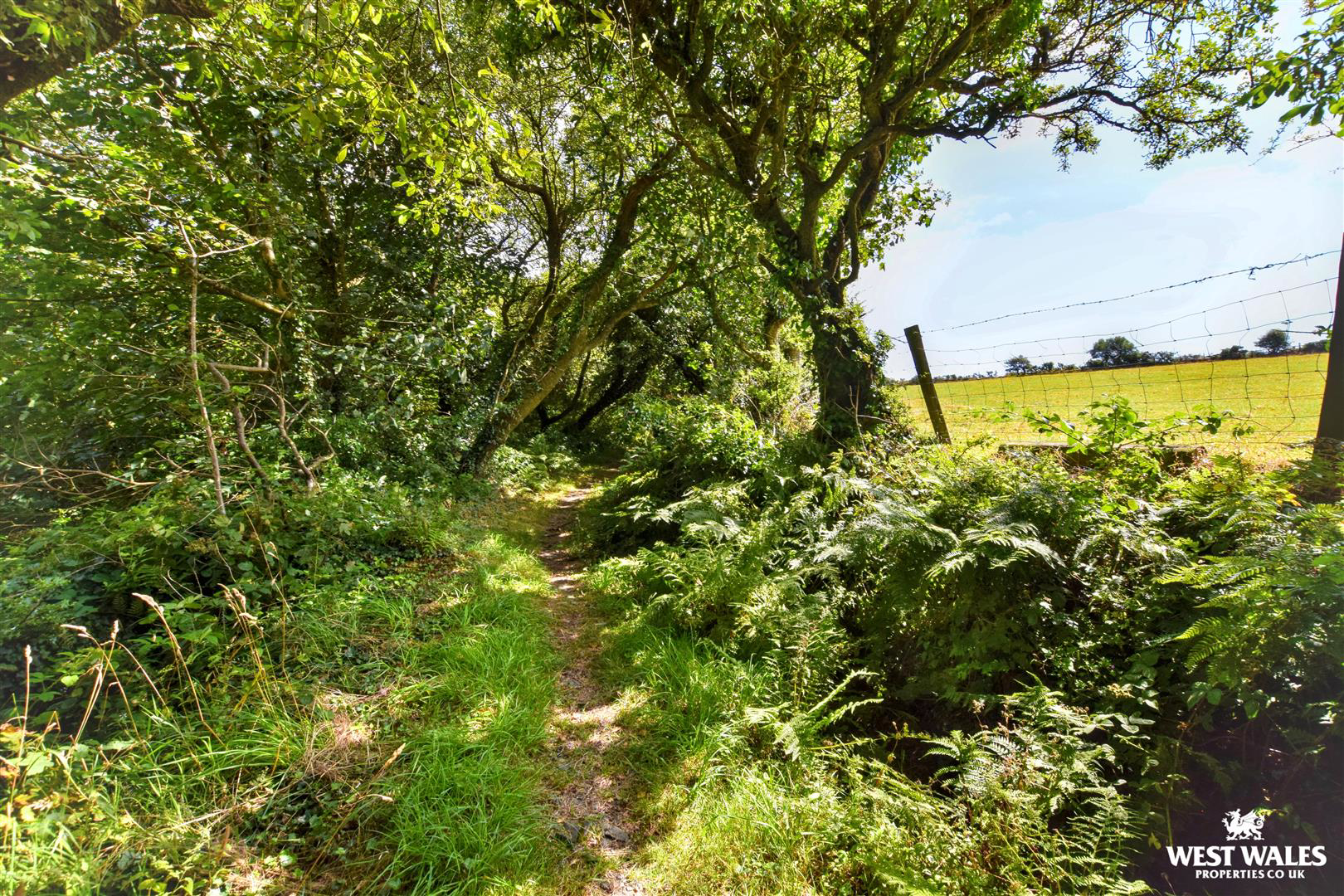 Gwaun Valley, Fishguard, photo 23