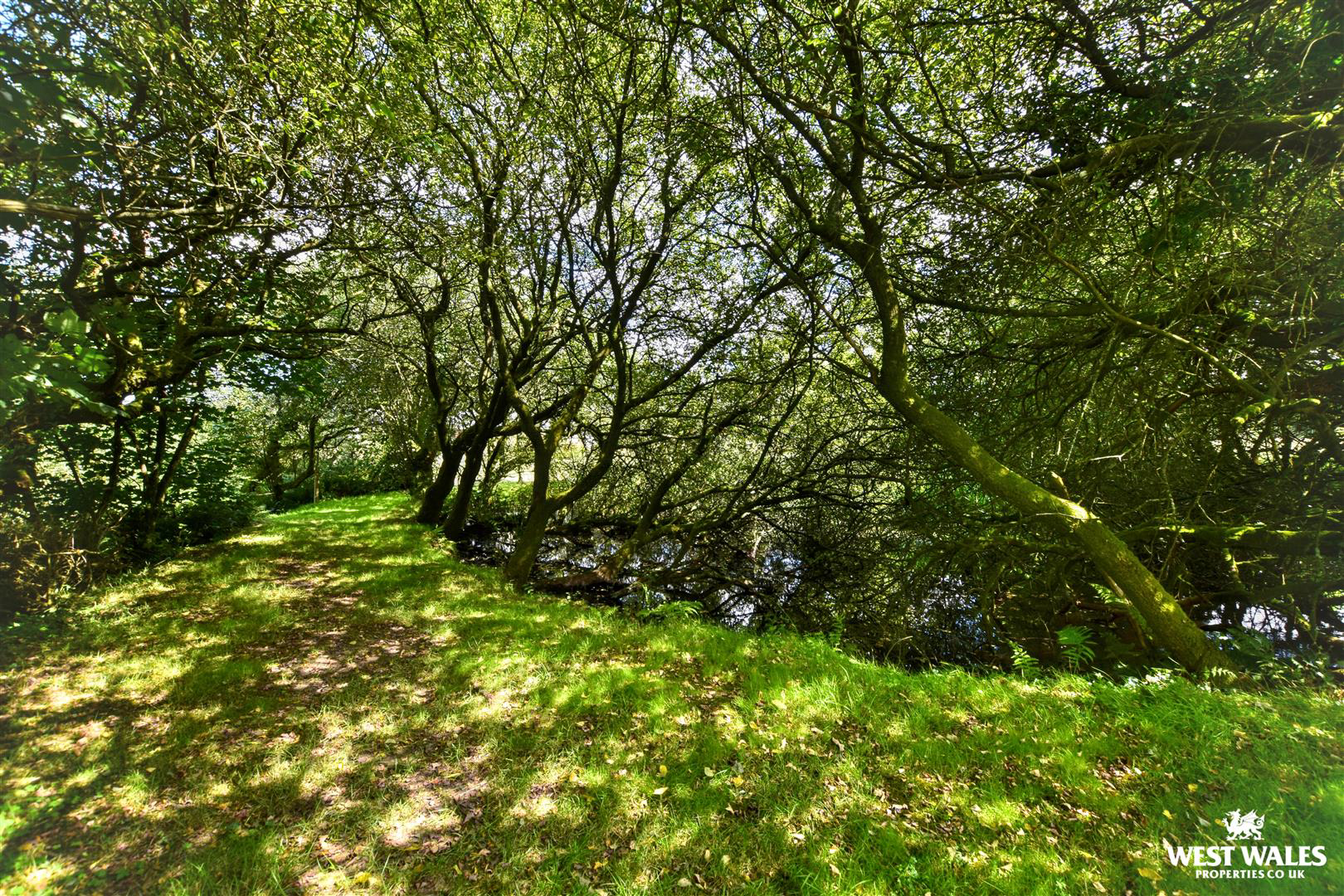 Gwaun Valley, Fishguard, photo 24