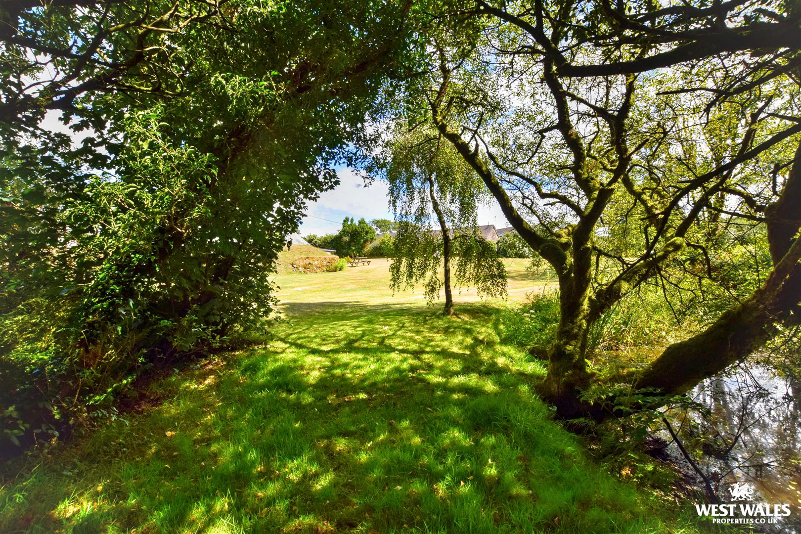 Gwaun Valley, Fishguard, photo 25