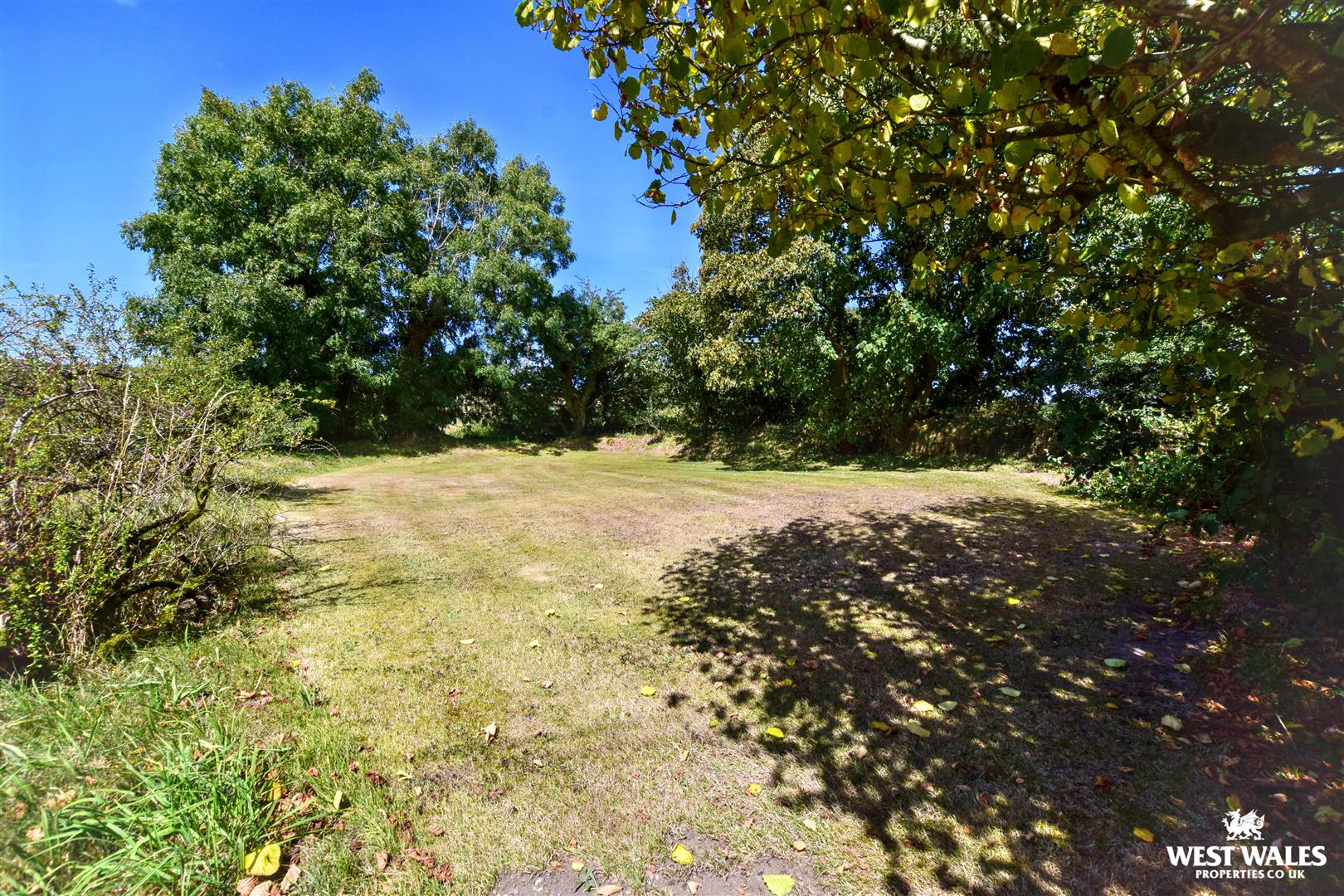 Gwaun Valley, Fishguard, photo 31