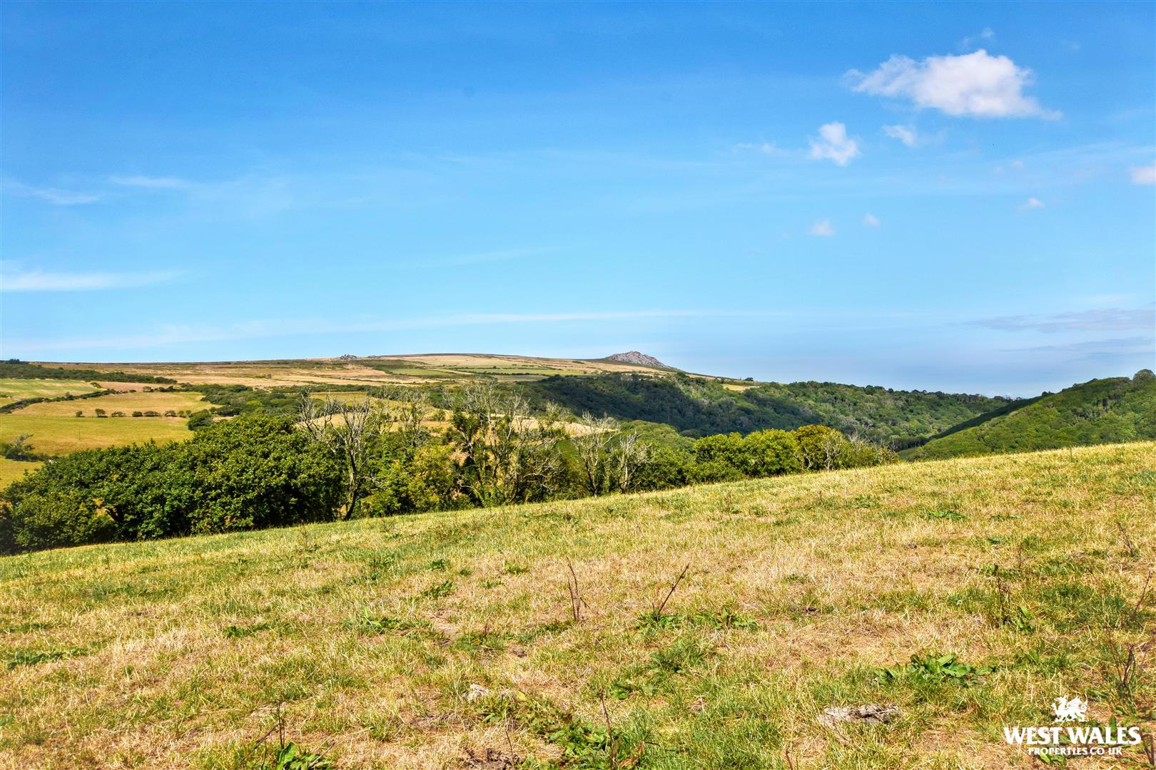 Gwaun Valley, Fishguard, photo 55