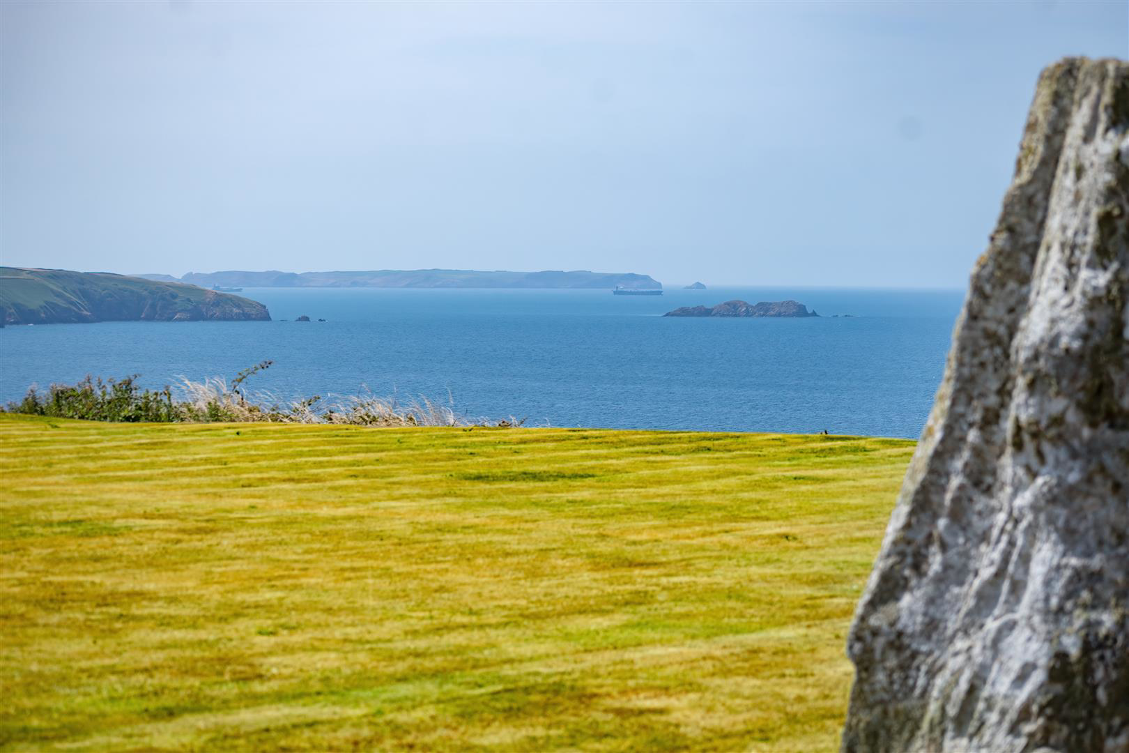 _DSC9559.jpg