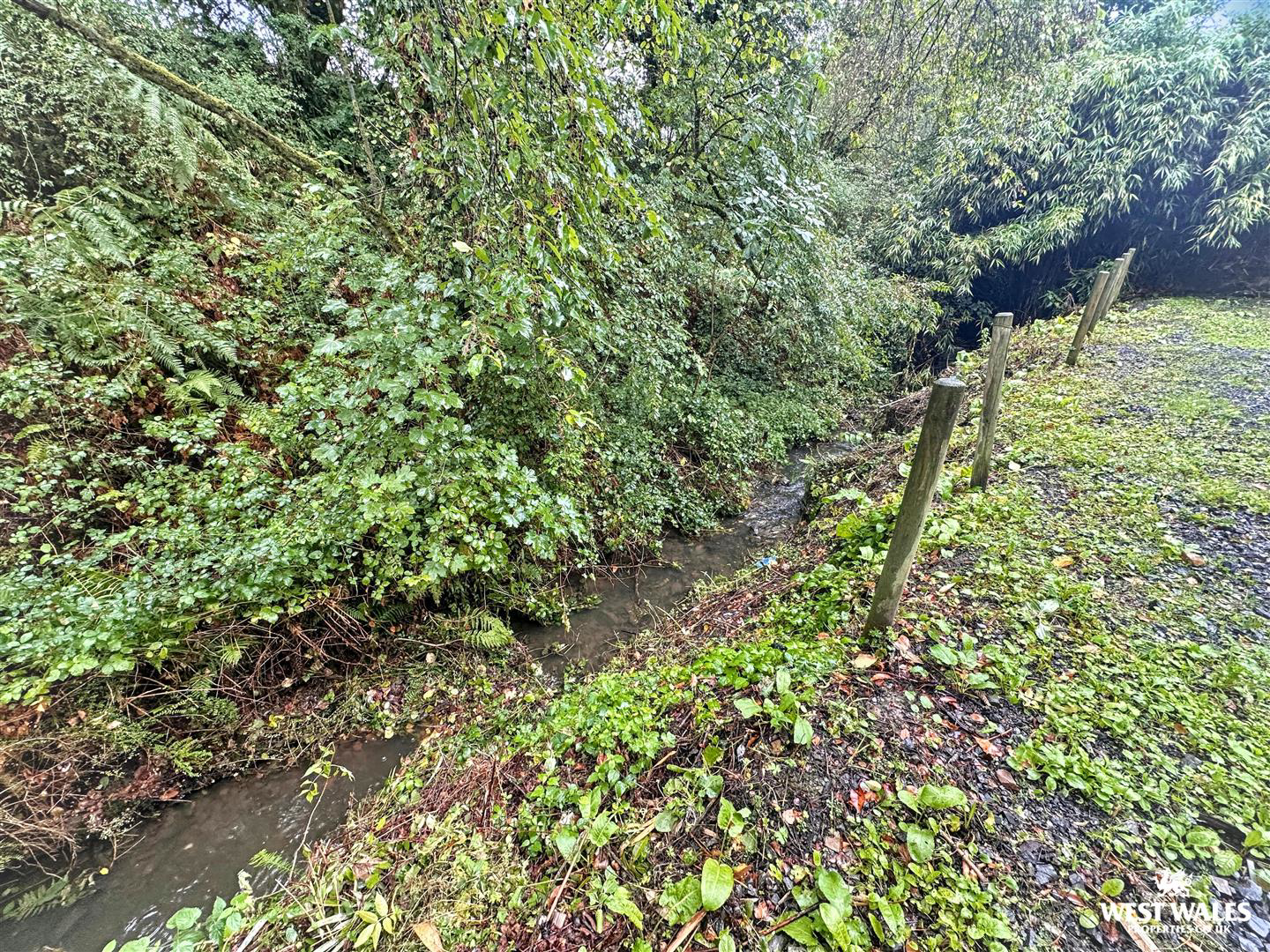 Photo 42