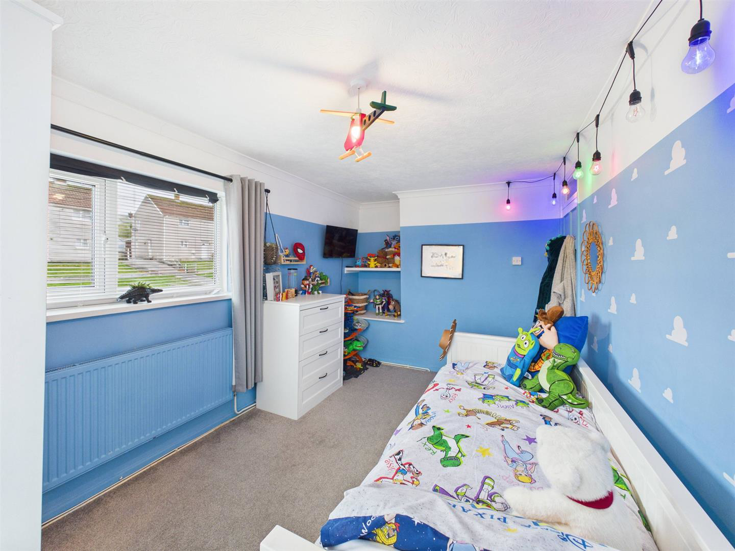 Maesglas, Pontyates, Llanelli, photo 17