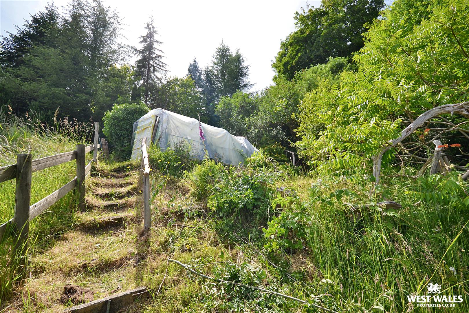 Lower Garden