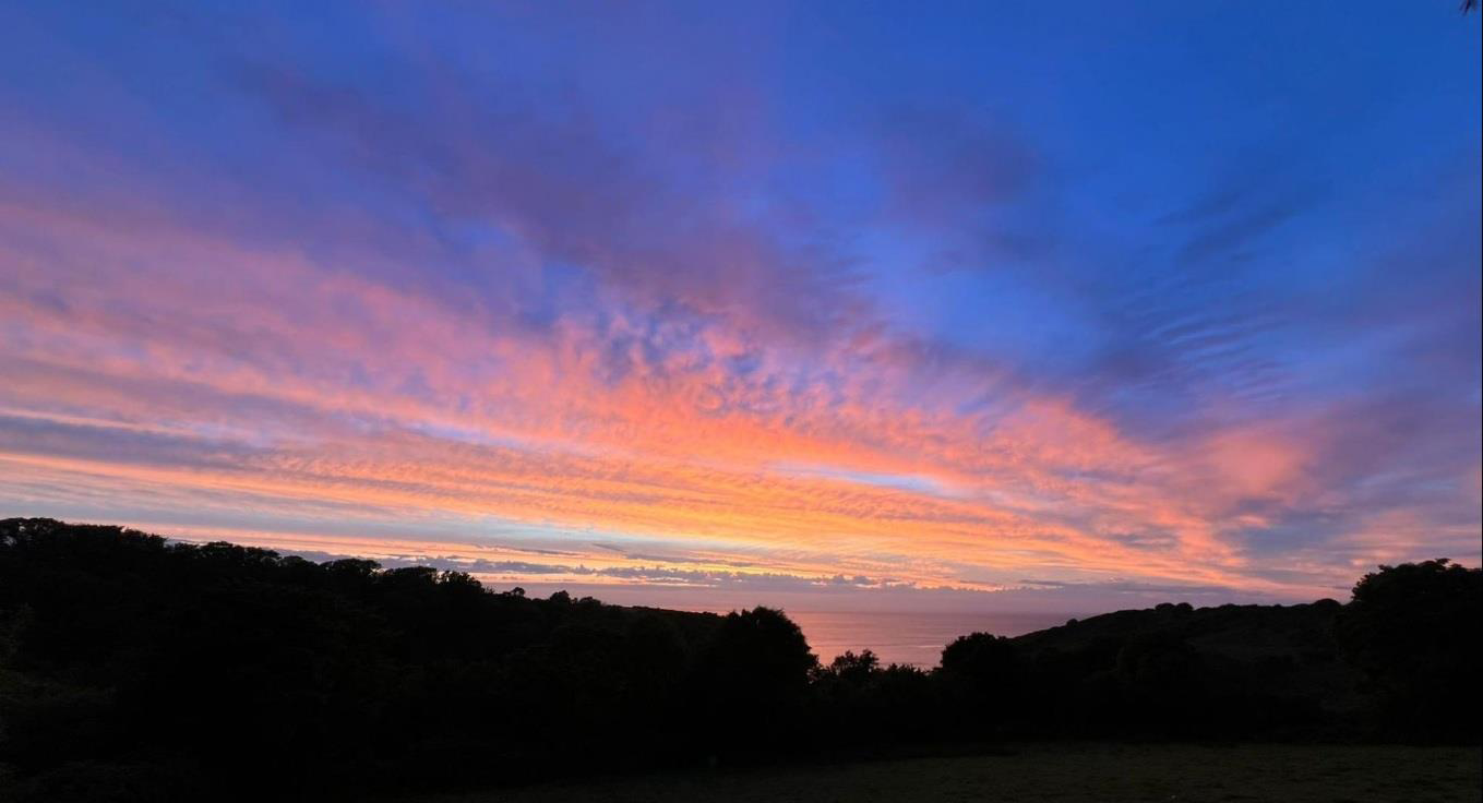 Dinas Cross, photo 39