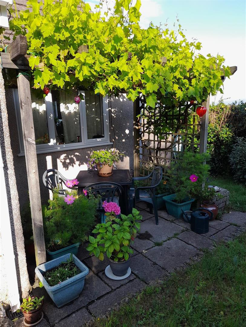 Burgage Green Close, St. Ishmaels, Haverfordwest, photo 27