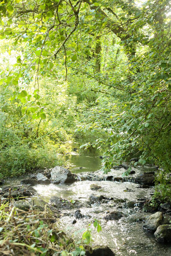 Login, Whitland, photo 45