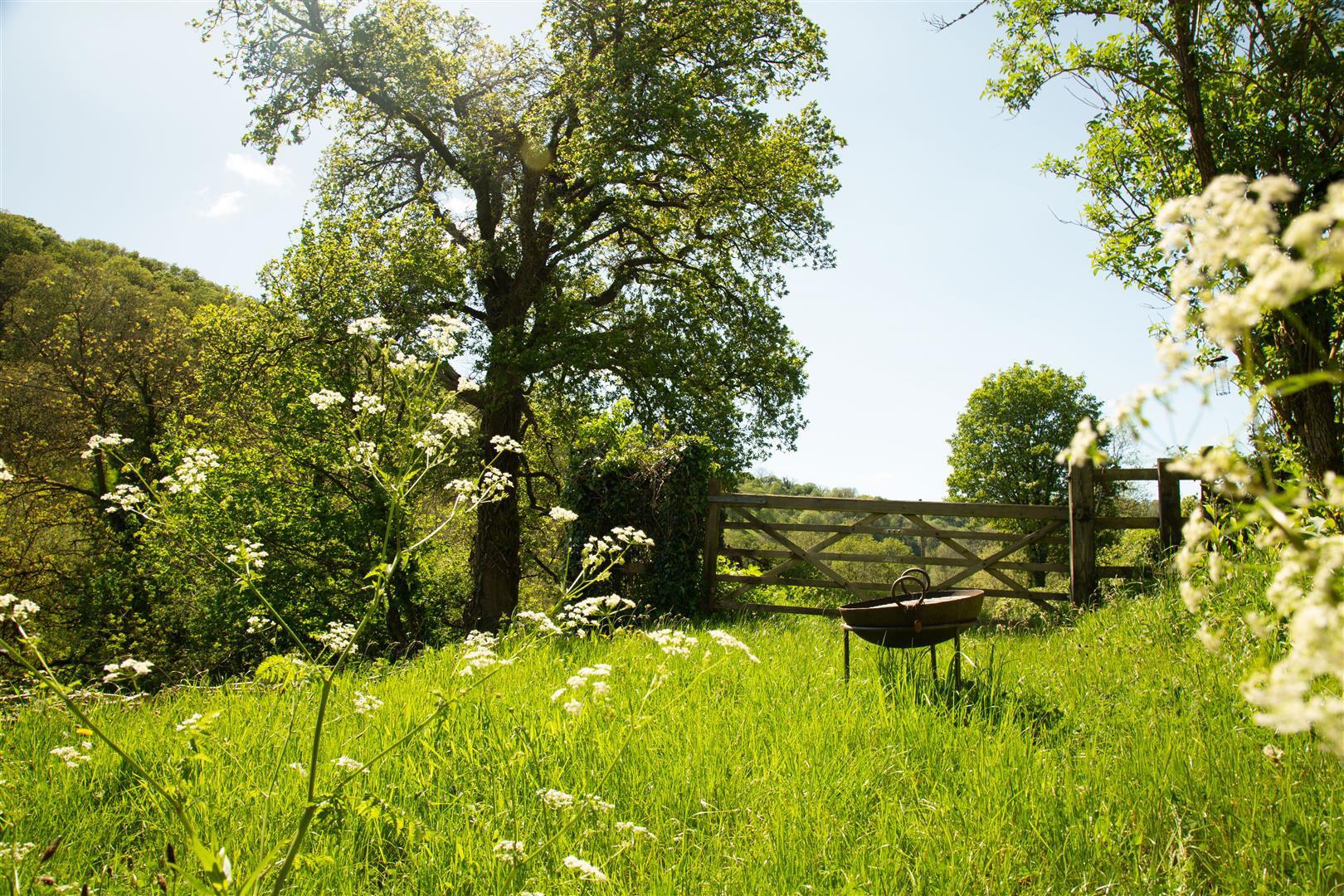 Login, Whitland, photo 39