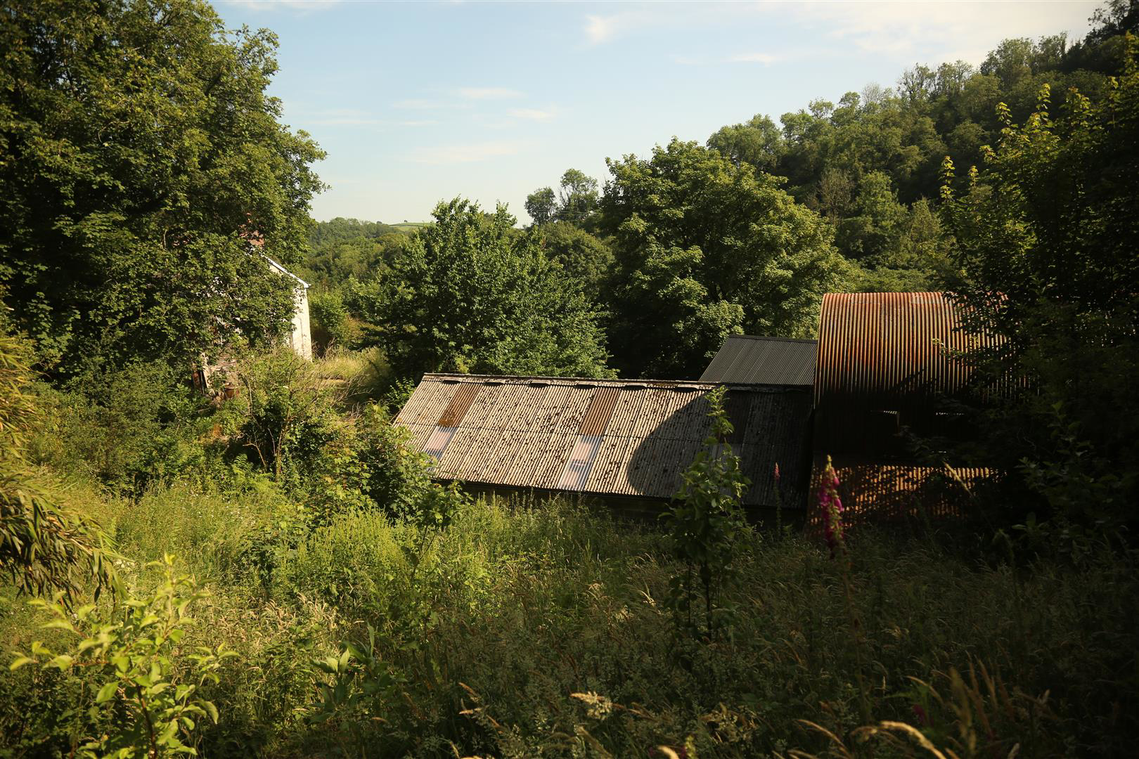 Login, Whitland, photo 24