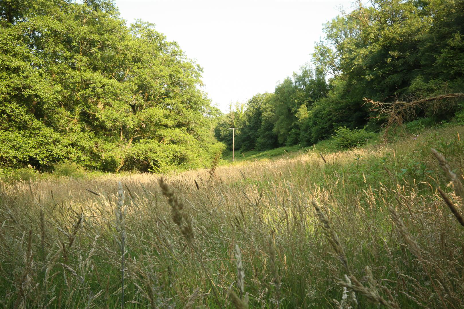 Login, Whitland, photo 46