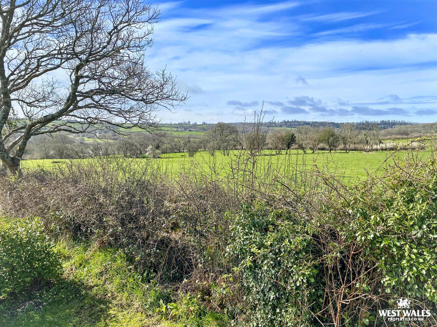 Vale Holiday Park, Landshipping, Narberth, photo 3