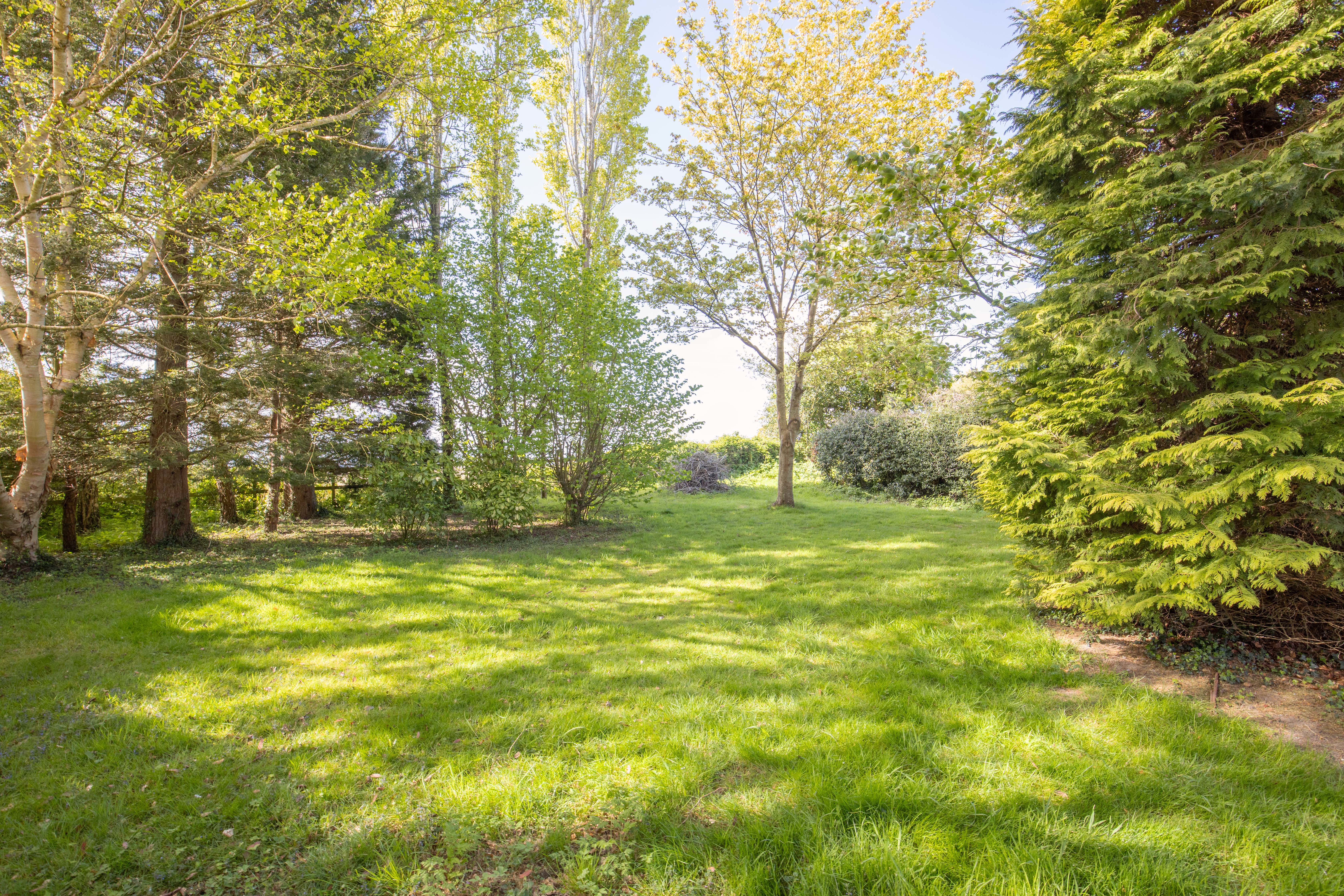 Cranbrook Road, Goudhurst, TN17, photo 19