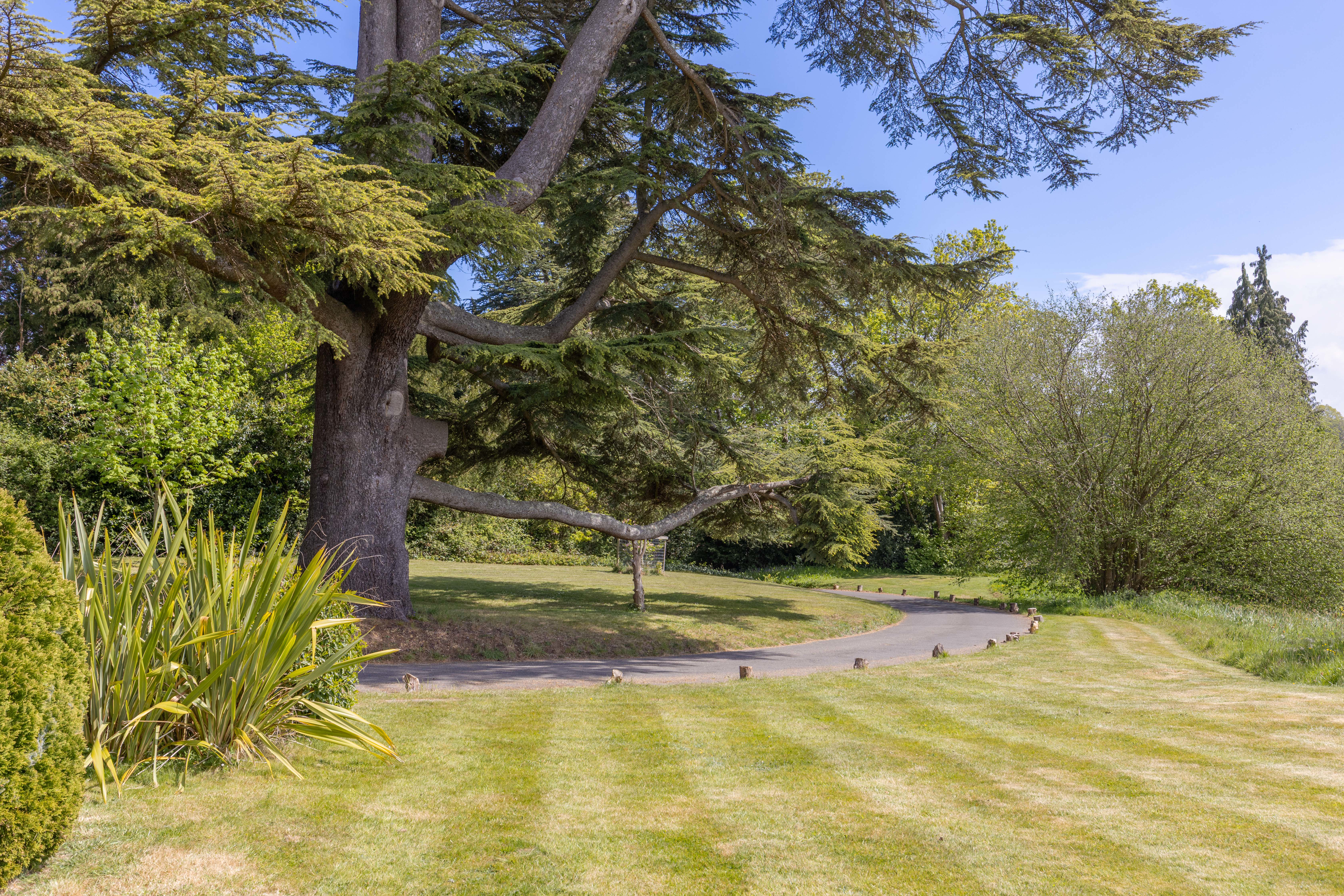 The Glebe, Penshurst, TN11, photo 19