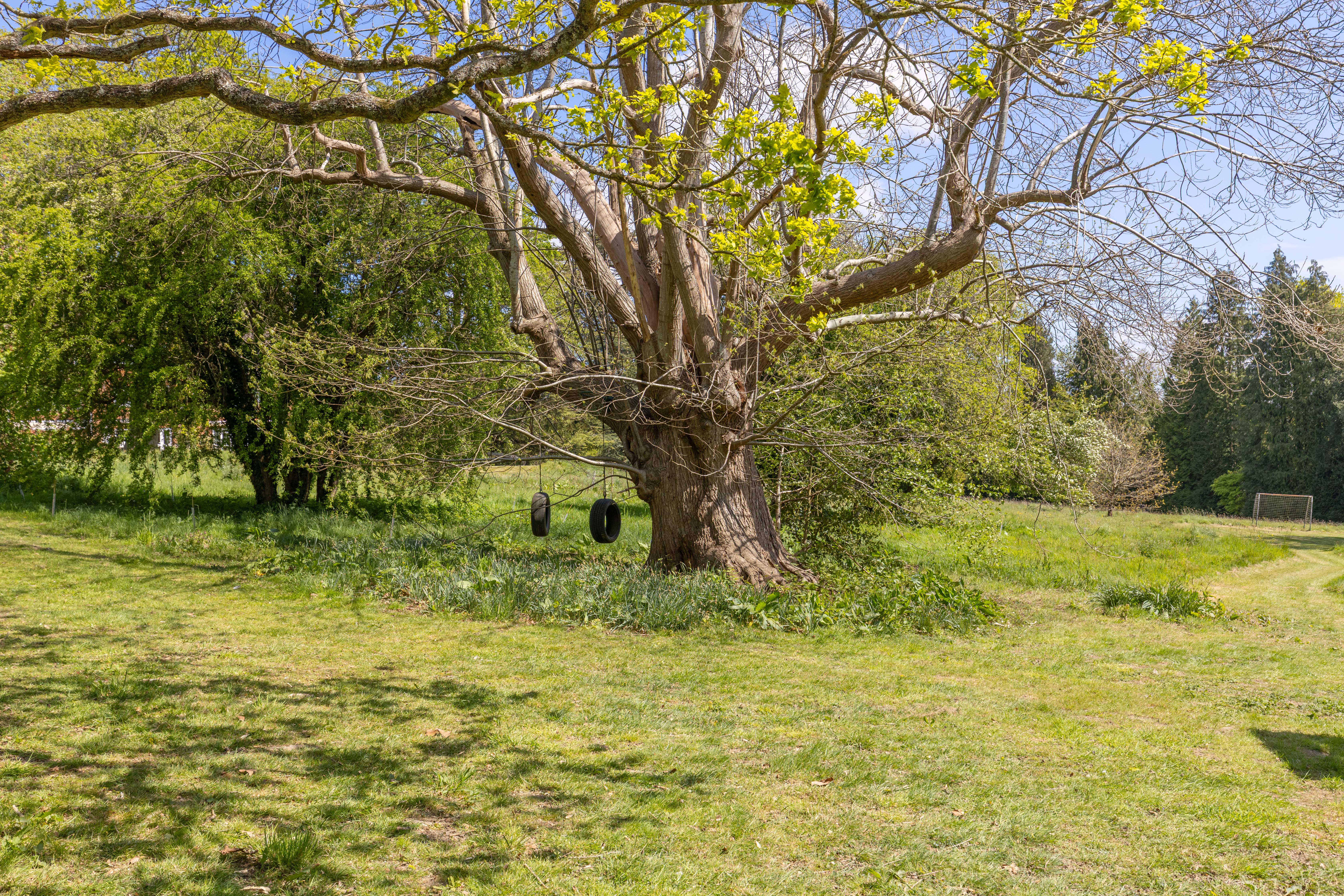 The Glebe, Penshurst, TN11, photo 21
