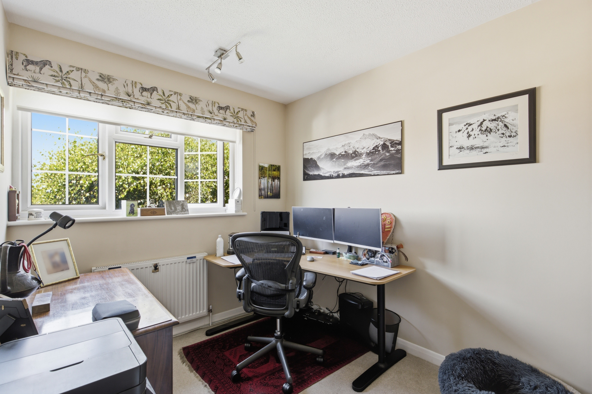 Pennington Place, Tunbridge Wells, TN4, photo 12