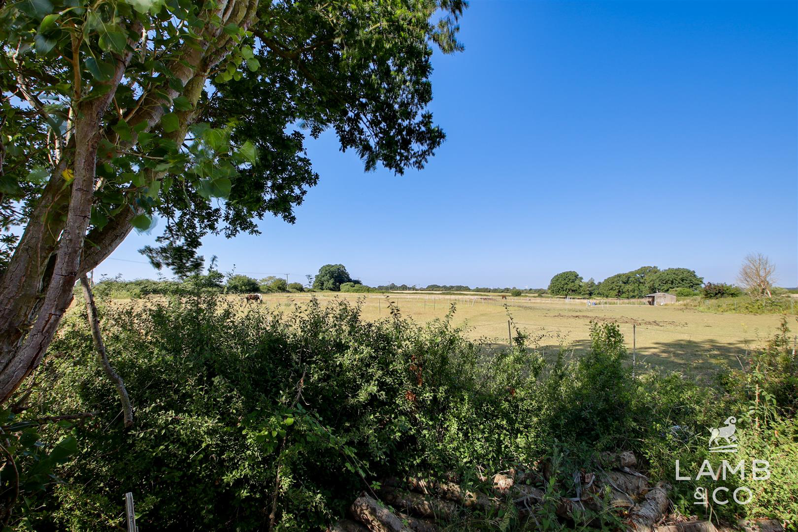 Montrose Gardens, Great Holland, Frinton-on-Sea, photo 18