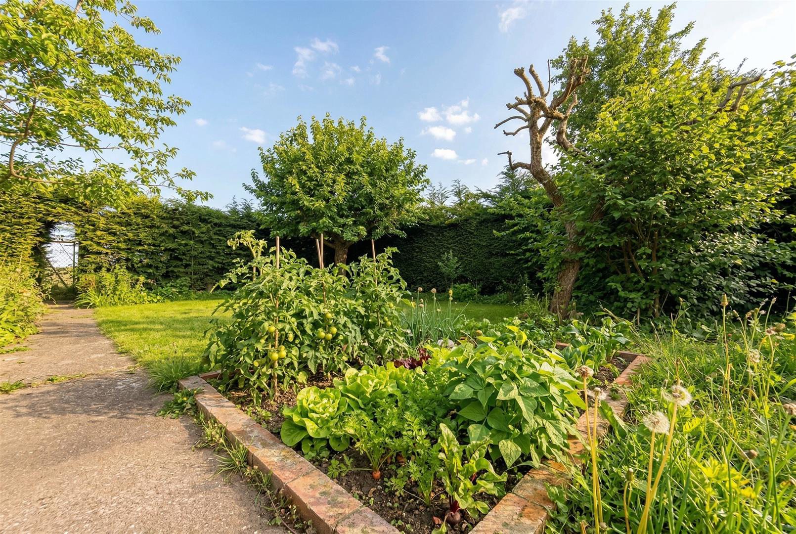 Peck Hill, Ropsley, Grantham, photo 16
