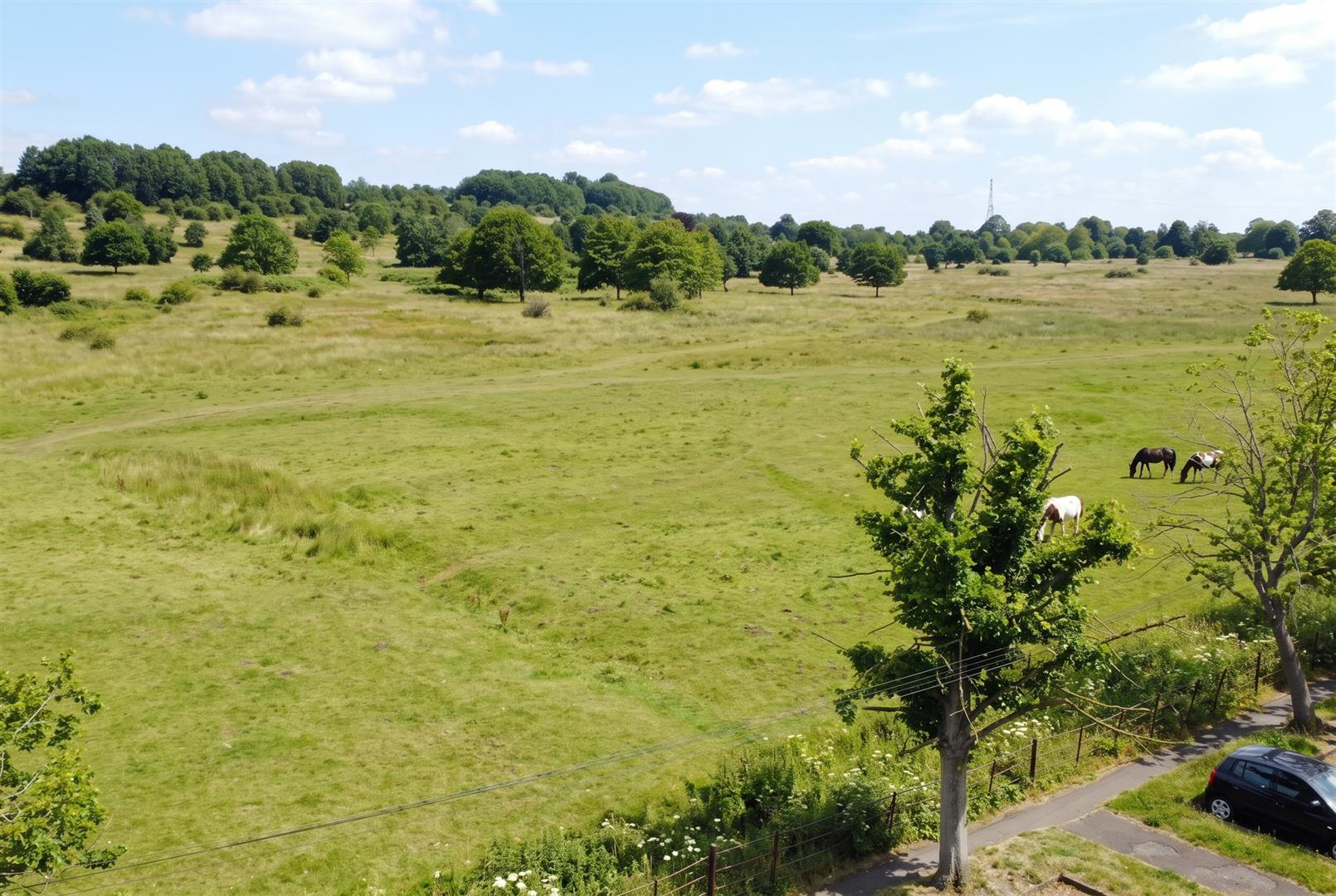 South Park, Lincoln, photo 12