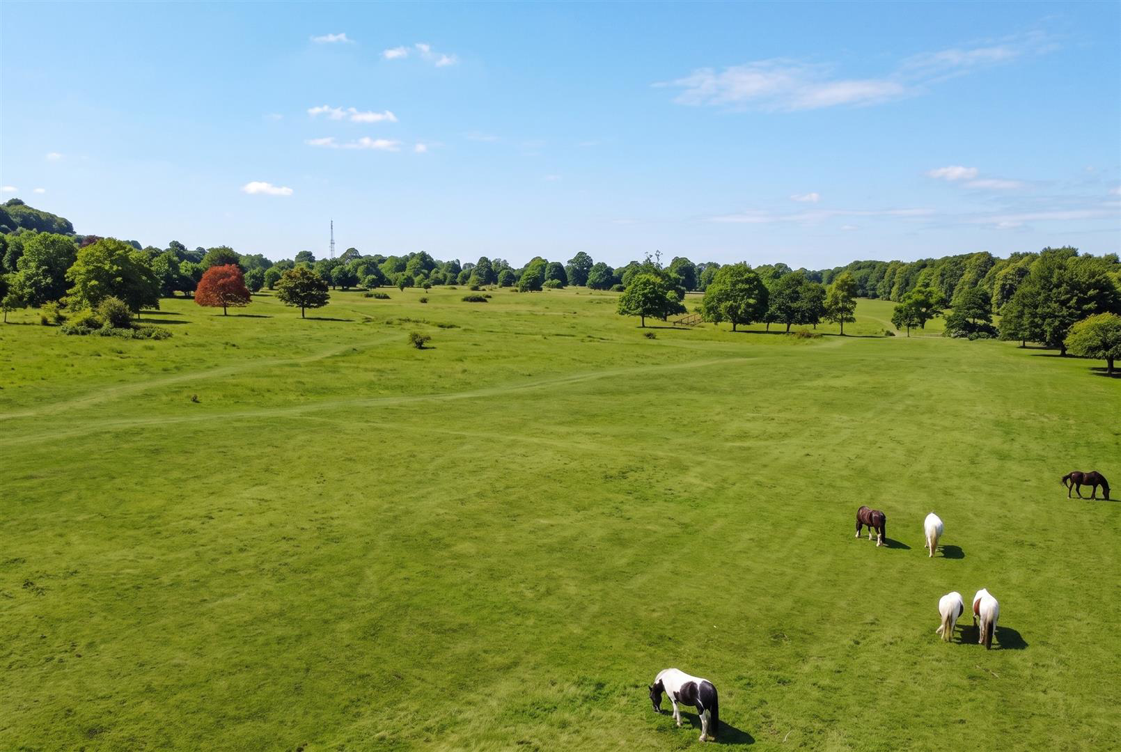 South Park, Lincoln, photo 16
