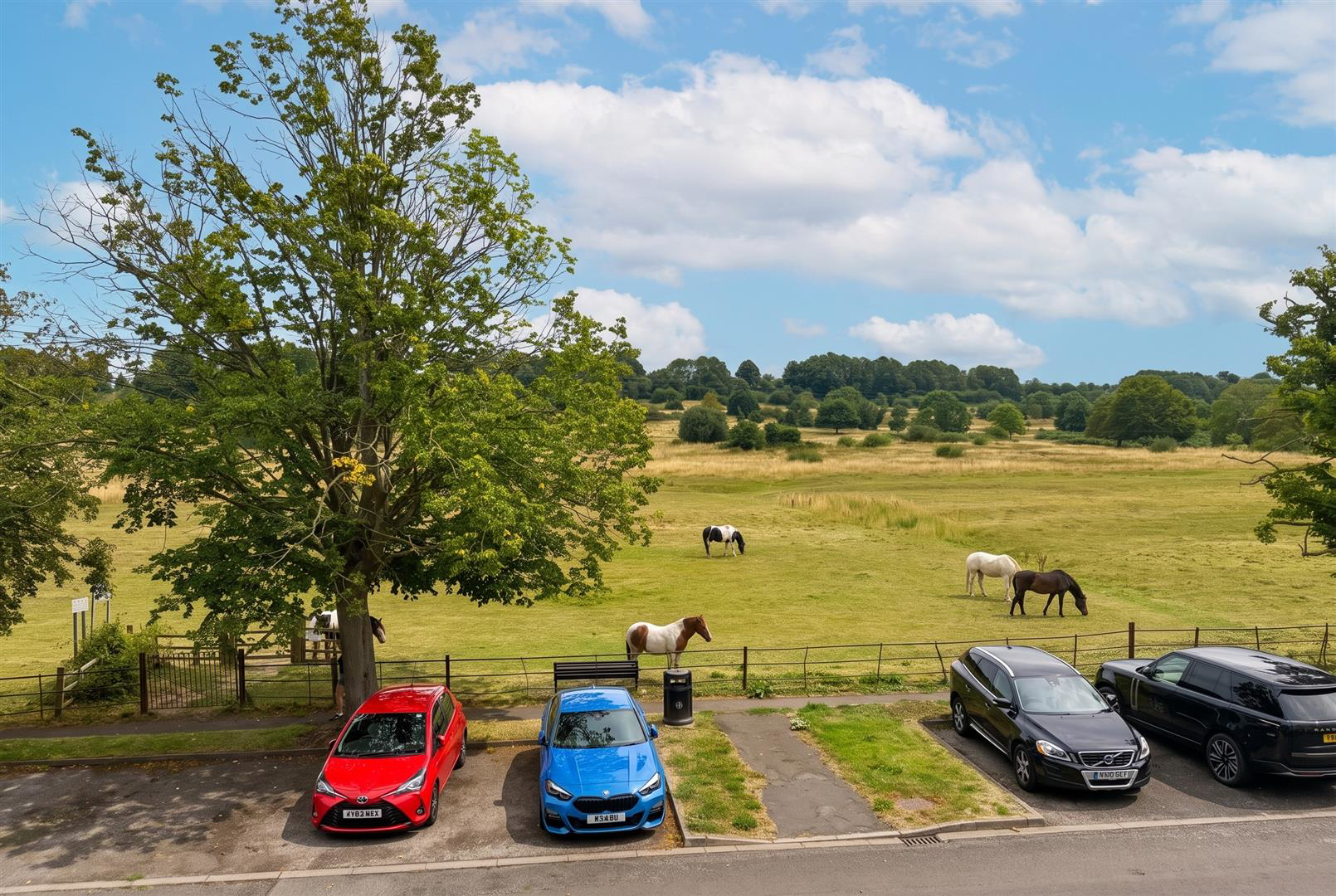 South Park, Lincoln, photo 9