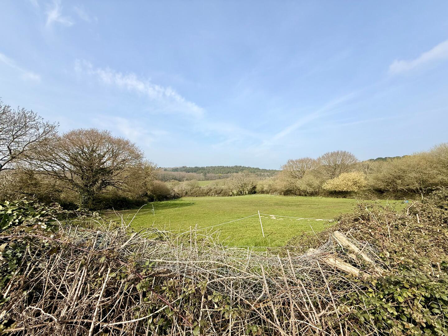 Main Road, Havenstreet, photo 8