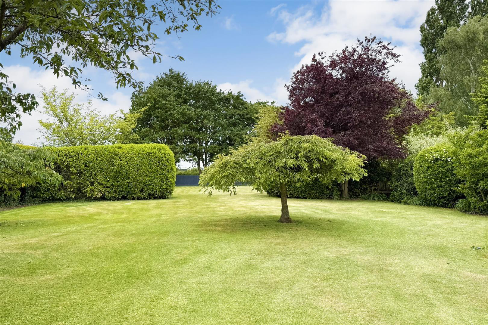 Mill Lane, Scalby, photo 26