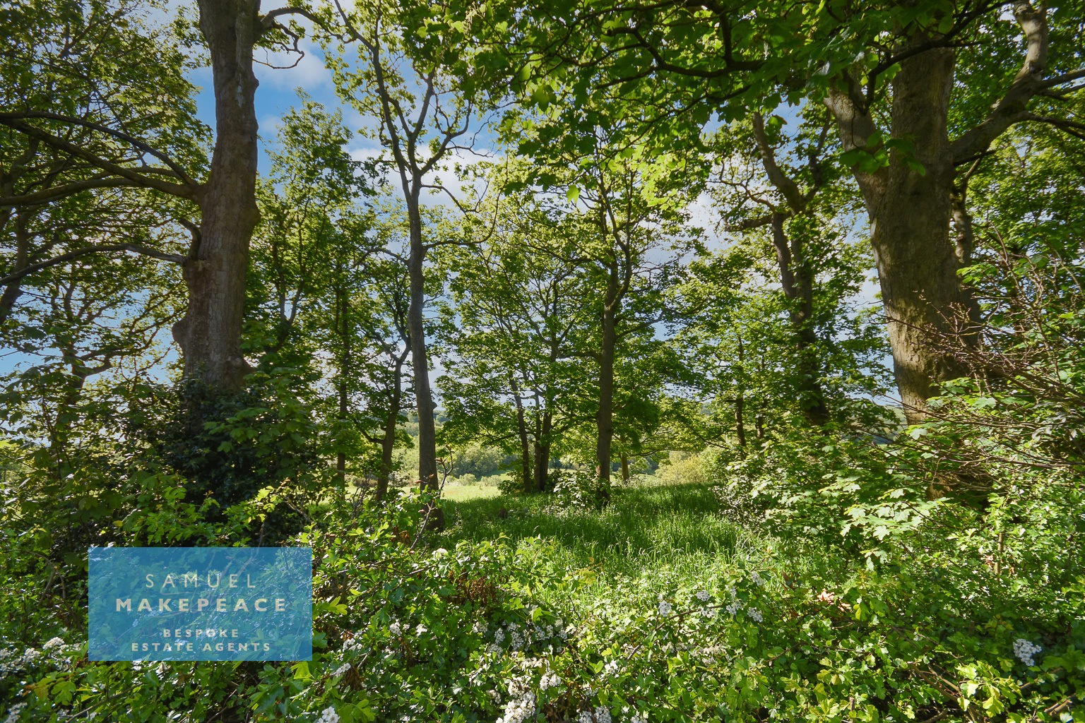 Apedale Road, Wood Lane, Staffordshire, photo 20