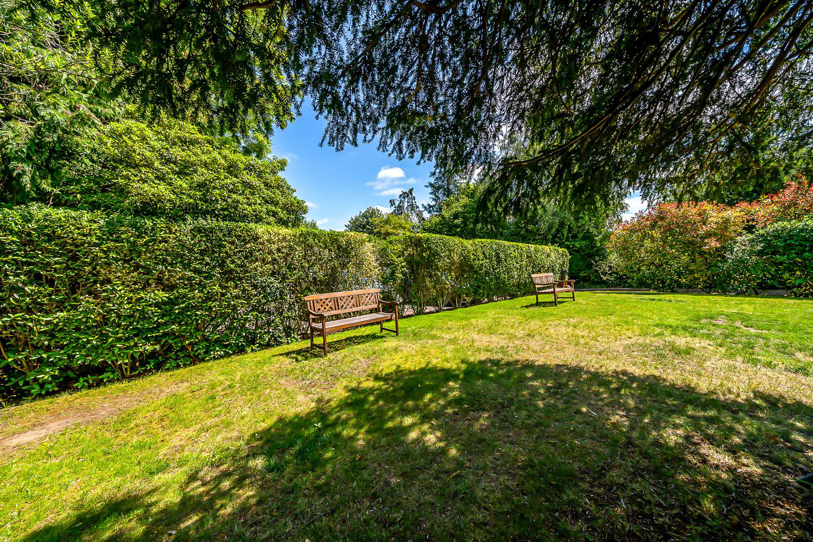 Mays Hill Road, Shortlands, BR2, photo 17