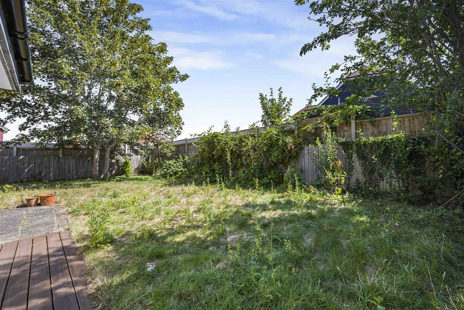 Hayes Street, Hayes, BR2, photo 19