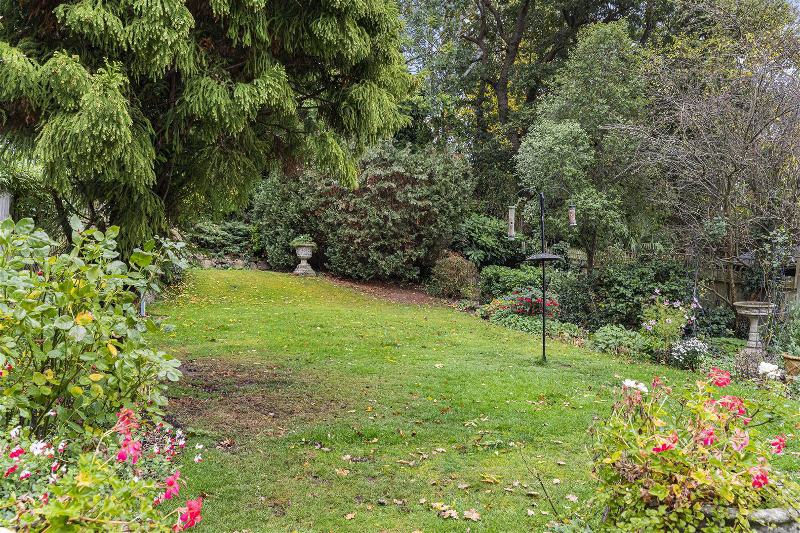 DSC_2326.JPG