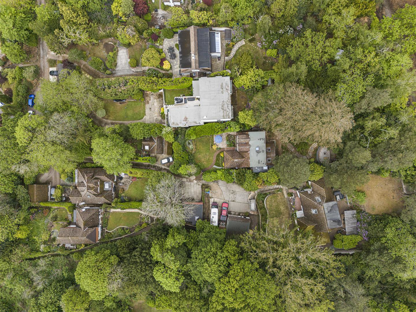 DJI_20260514105342_0366_D.jpg