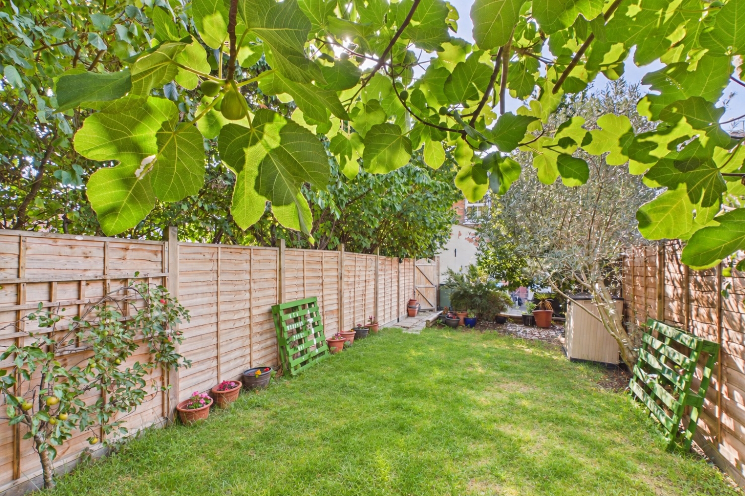 Osborne Street, Bletchley, Milton Keynes, MK2, photo 4
